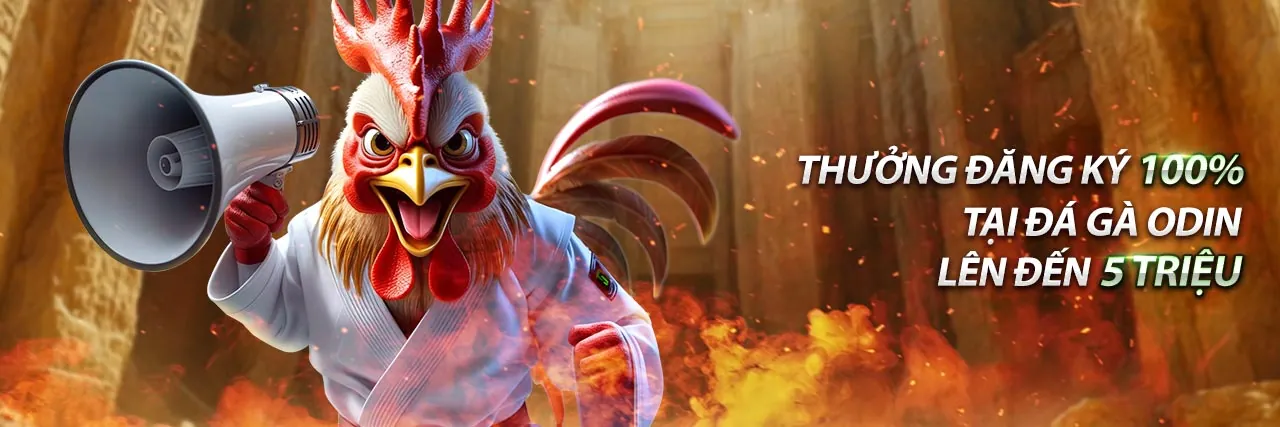 Hướng dẫn đăng ký Q88